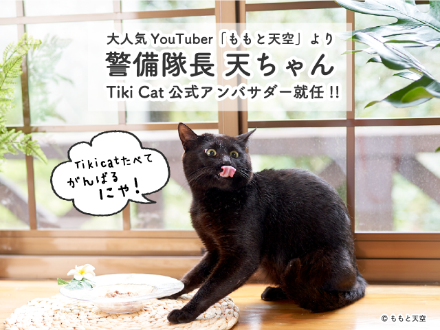Tiki Cat ティキキャット 全米で大ヒット 通販口コミサイトで常に上位レビューを獲得